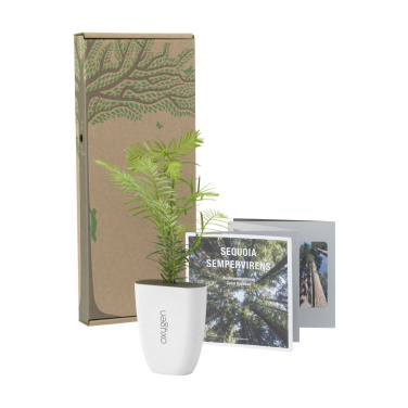 Logotrade Firmengeschenke das Foto: Treemore Briefkastenbäume Riesenmammutbaum