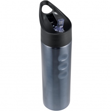 Logotrade promotional item image of: Trixie 750 ml stainless steel sport bottle