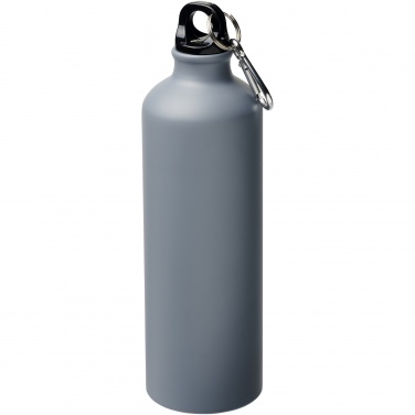 Logo trade business gift photo of: Oregon 770 ml matte water bottle with carabiner