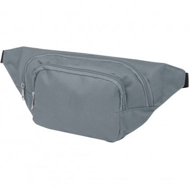 Logo trade corporate gifts image of: Santander fanny pack with two compartments