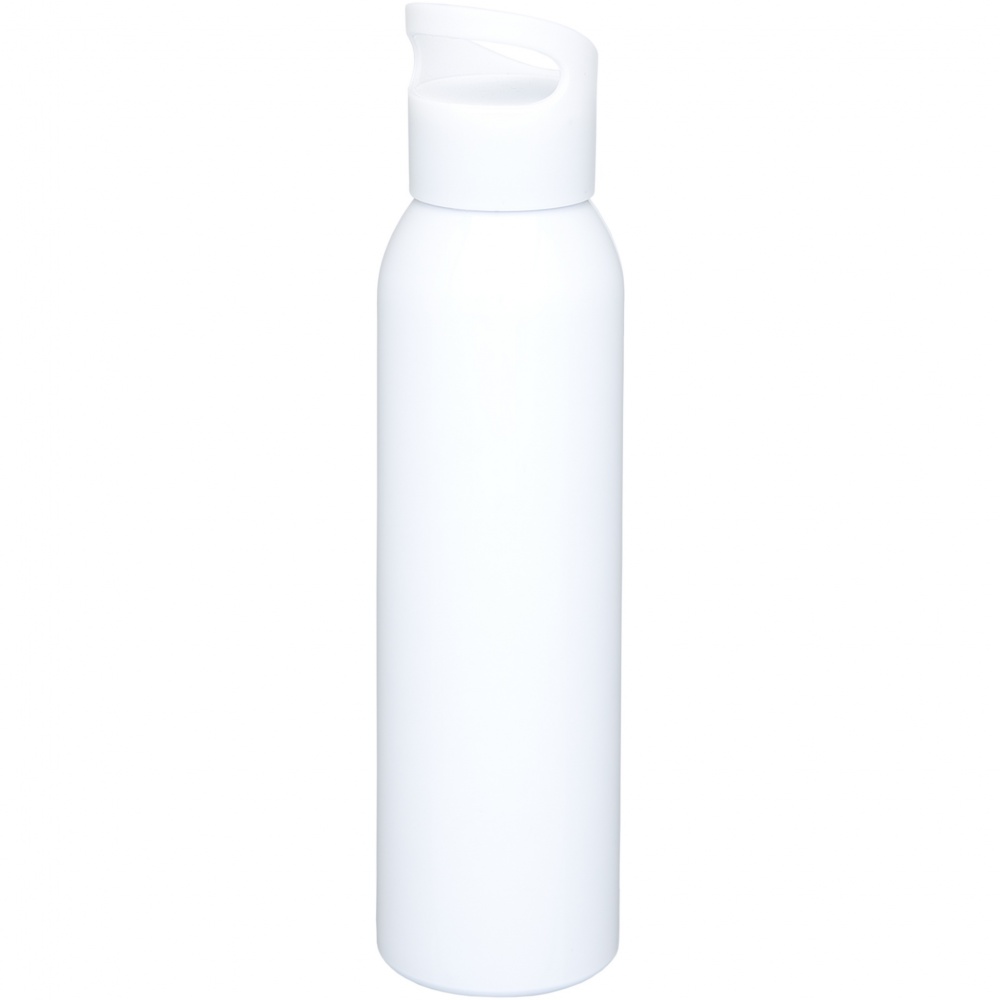 Logotrade promotional merchandise picture of: Sky 650 ml water bottle