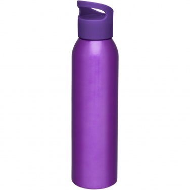 Logo trade promotional merchandise image of: Sky 650 ml water bottle