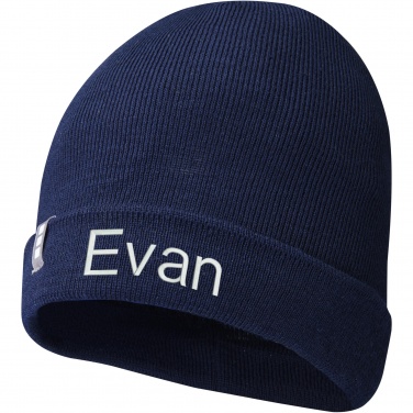 Logotrade promotional giveaway picture of: Hale Polylana® beanie