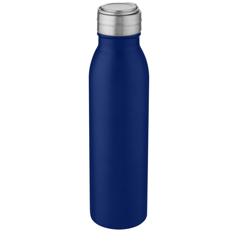 Logo trade promotional products image of: Harper 700 ml stainless steel water bottle with metal loop