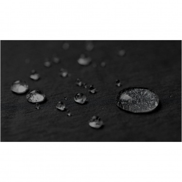 Logo trade promotional item photo of: Trailhead GRS recycled lightweight fanny pack 2.5L