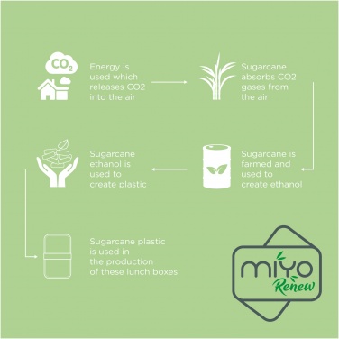 Logotrade corporate gift picture of: MIYO Renew double layer lunch box