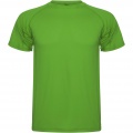 Montecarlo short sleeve men's sports t-shirt, Fern green