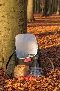 Logo trade promotional giveaways image of: Explorer medium outdoor cooler bag