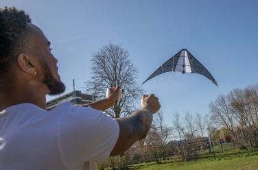 Logotrade business gifts photo of: Delta kite