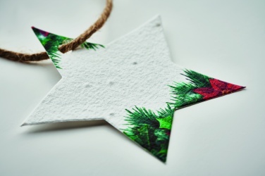 Logotrade promotional merchandise photo of: Seed paper Xmas ornament