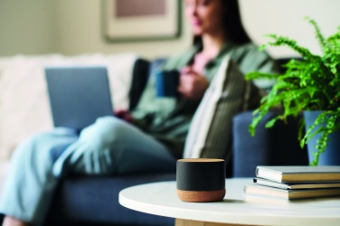 Logo trade corporate gifts picture of: Cork and aluminium speaker