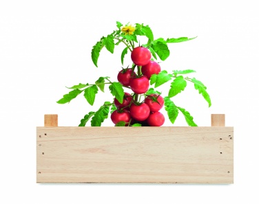 Logo trade business gift photo of: Tomato kit in wooden crate