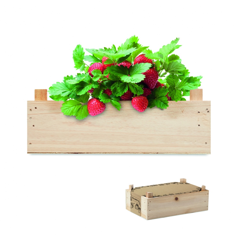 Logo trade advertising products image of: Strawberry kit in wooden crate