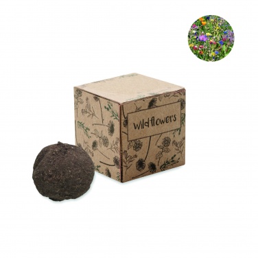 Logotrade promotional product image of: Seed bomb growing kit