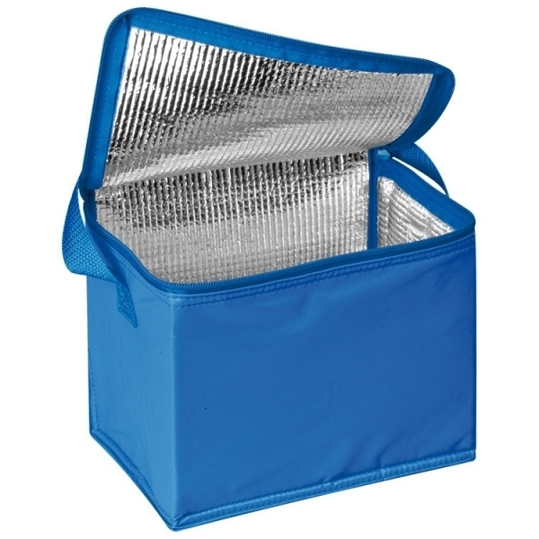 Logo trade promotional merchandise image of: Cool bag 6 x 0,5 l MESA
