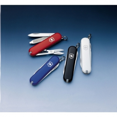 Logotrade promotional merchandise picture of: Pocket knife Rambler Victorinox