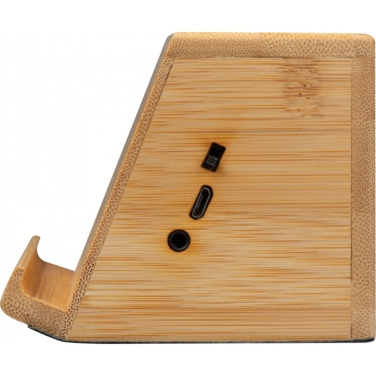 Logotrade promotional giveaways photo of: Induction loudspeaker NUREMBERG