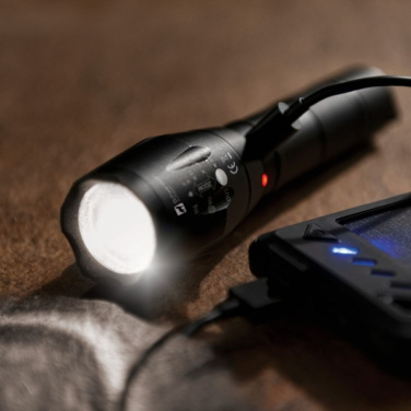Logo trade promotional products picture of: Flashlight DELGADA Schwarzwolf
