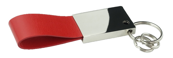 Logotrade corporate gift image of: Keyring 909119