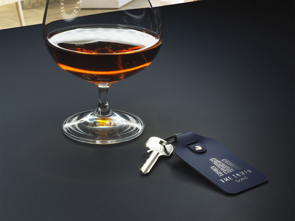 Logo trade promotional products picture of: Keyring 1200094