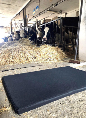 Logotrade advertising product image of: Disinfection mat 60x50x3cm 1373087