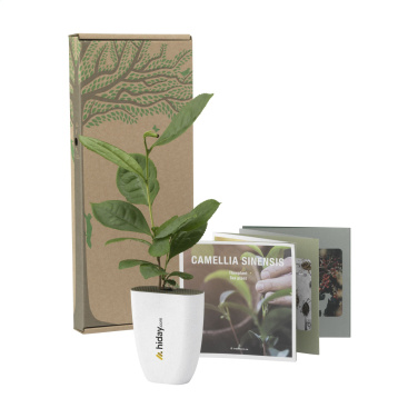 Logo trade promotional product photo of: Treemore Letterbox Trees Tea plant