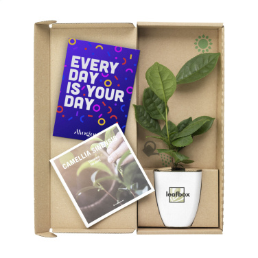 Logo trade promotional giveaways picture of: Treemore Letterbox Trees Tea plant