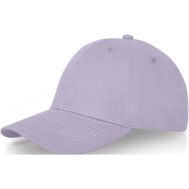 Logo trade corporate gift photo of: Davis 6 panel cap