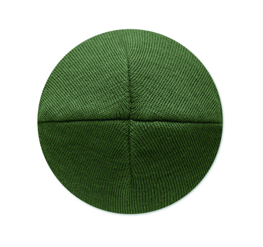 Logo trade business gifts image of: Unisex beanie RPET polyester
