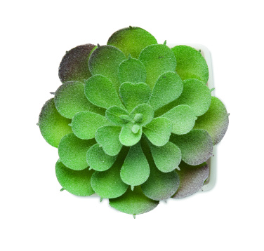 Logotrade advertising products photo of: Mini artificial plant