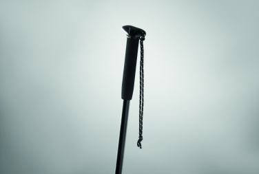 Logo trade business gift photo of: Telescopic walking pole