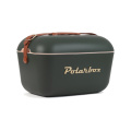 Polarbox Original Large 20L Vintage Coolerbox, green