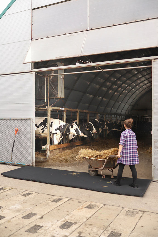 Logotrade reklaamkingi foto: Matt 120x600x4cm 1365087