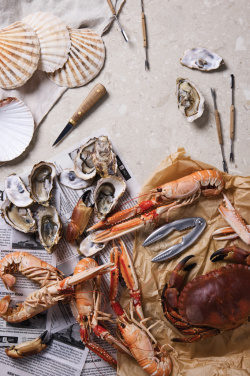 Logotrade ärikingituse foto: VINGA "Story of Seafood" mereannikomplekt