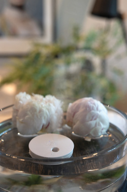 Logo trade firmakingitused foto: Breevia RCS plastikust laetav ujuv õhuniisutaja