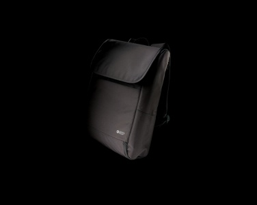 Logotrade mainostuote tuotekuva: Swiss Peak Fern AWARE™ RPET 15" reppu vetoketjulla