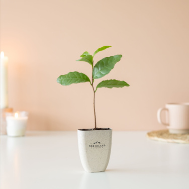 Logo trade mainostuote kuva: Treemore Letterbox Trees Teekasvi