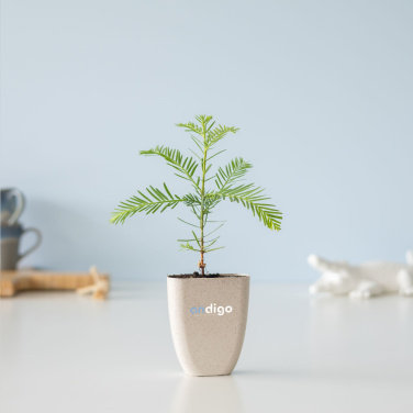 Logo trade mainostuote kuva: Treemore Letterbox Trees Giant Sequoia