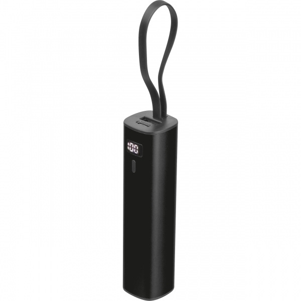 Logo trade mainoslahjat ja liikelahjat kuva: Varavirtalähde 5 000 mAh Doncaster