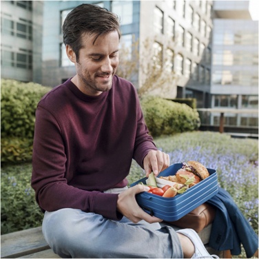 Logotrade profilreklam bild: Mepal Take-a-break stor lunchlåda